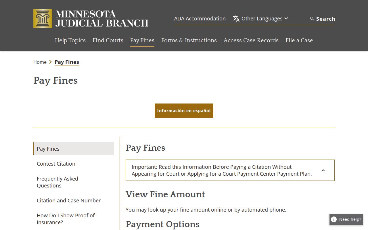 Kandiyohi County traffic court records Minnesota payment information