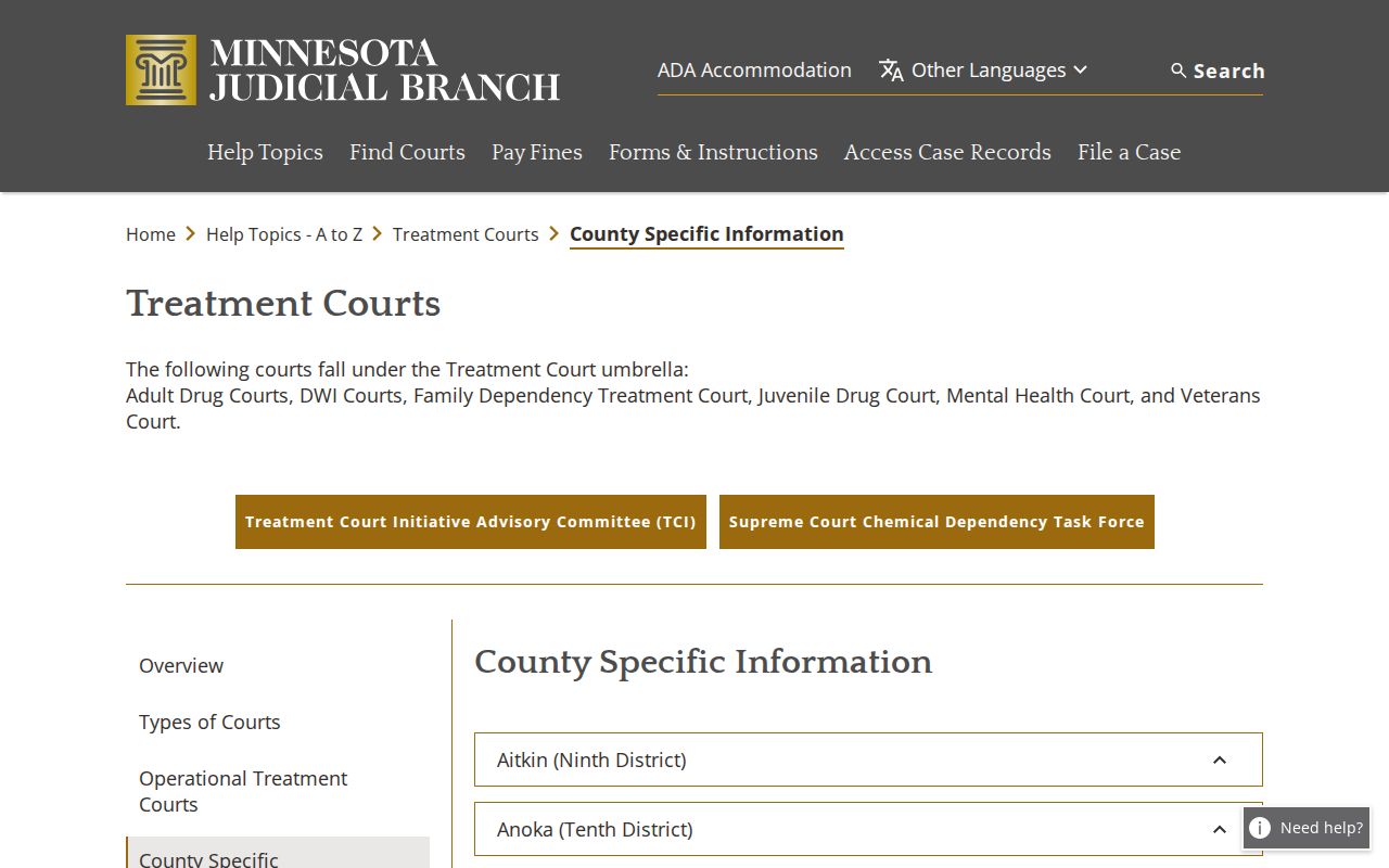 Willmar court docket and Eighth Judicial District treatment court records